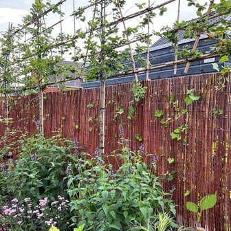 Wilgenmat natuurlijke tuinafscheiding