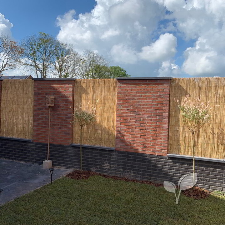Rieten schutting - Gepeld riet