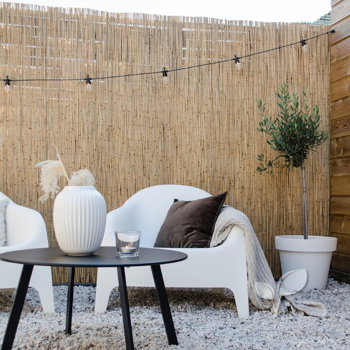 Rieten schutting - Premium riet