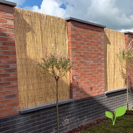 Rietmat gepeld 150 x 500